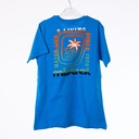 9381 t-shirt garçon bleu