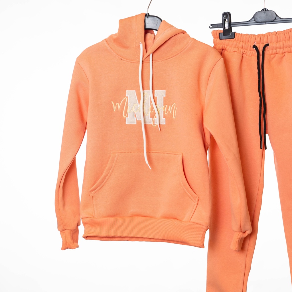 2020 Ensemble jogging saumon MI 