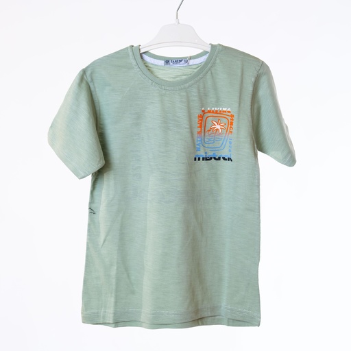 9381 t-shirt garçon vert