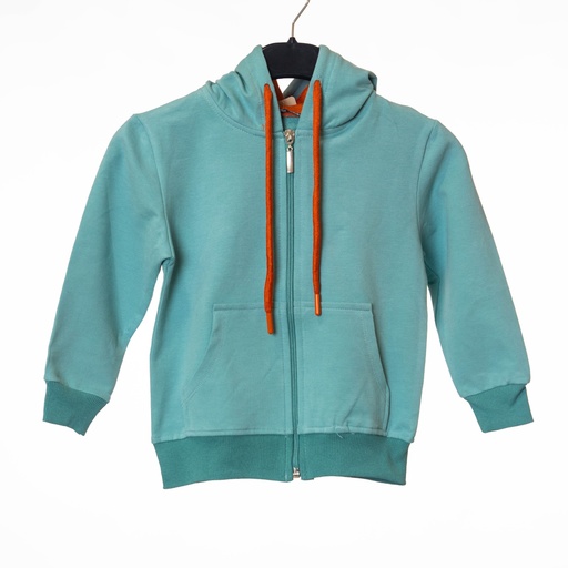 17201 Pull capuche vert paty kids  