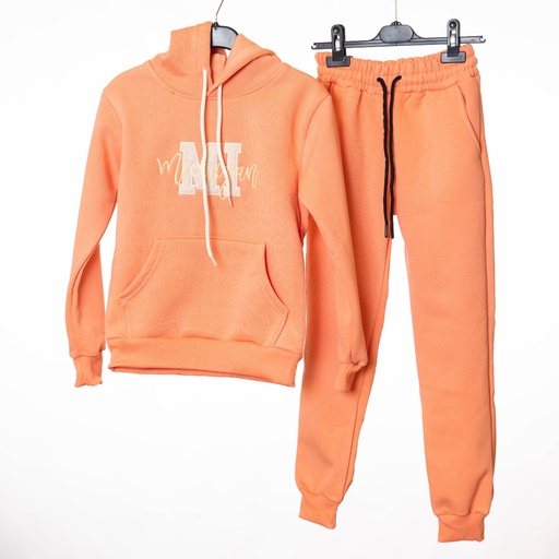 2020 Ensemble jogging saumon MI 